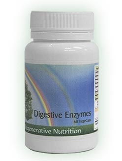 Digestive Enzymes