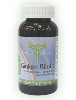 Ginkgo Biloba