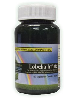 Lobelia Inflata 