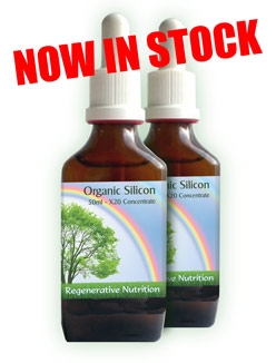 Organic Silicon