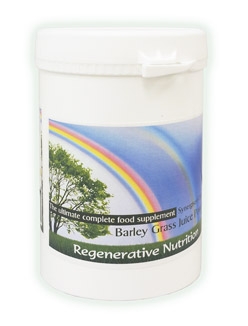 Barley Grass Juice Powder - Synergised  Organic