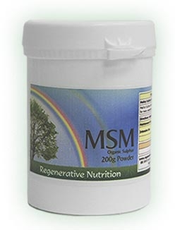 MSM Powder